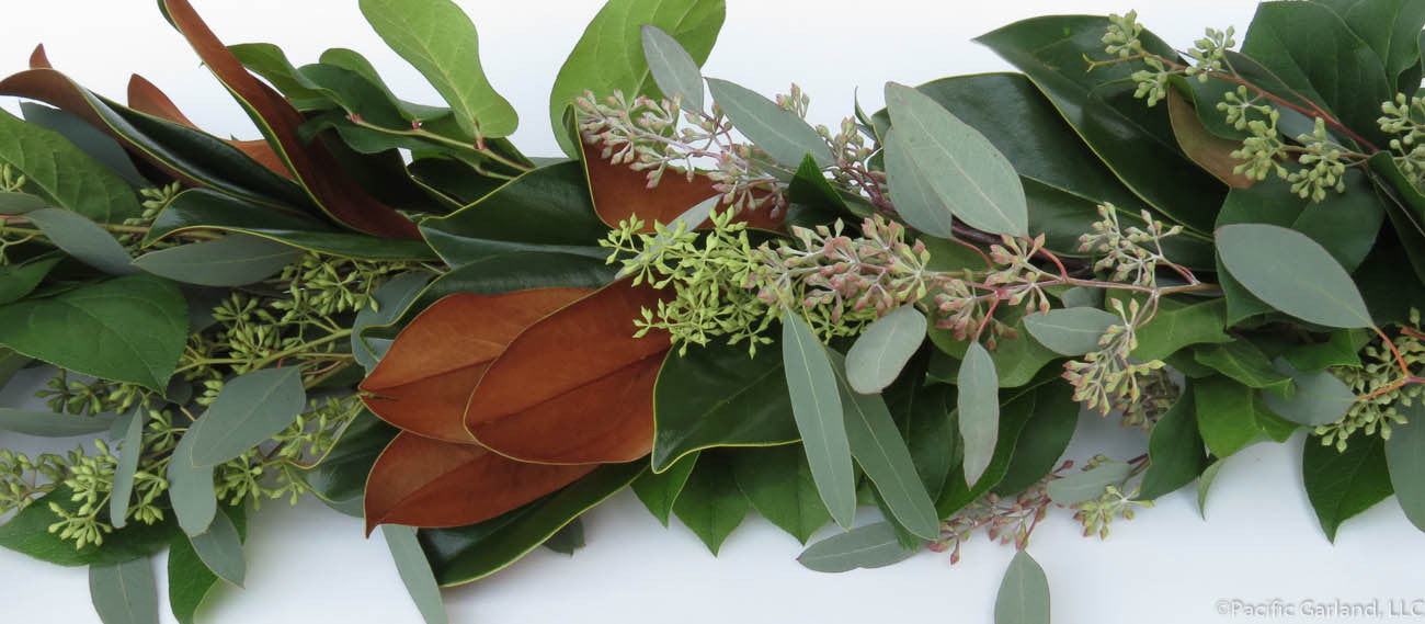 Stunning Salal, Seeded Eucalyptus & Magnolia three item garland