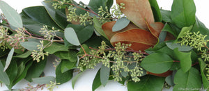 Salal, Magnolia & Seeded Eucalyptus Garland