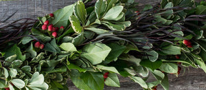 Close Up of Designers Choice Fresh Four Item Garland with Agonis, Salal, Hypericum Berries and Variegated Pittosporum