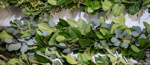 Designers Choice Two Item Garland Salal and Silver Dollar Eucalyptus in Middle