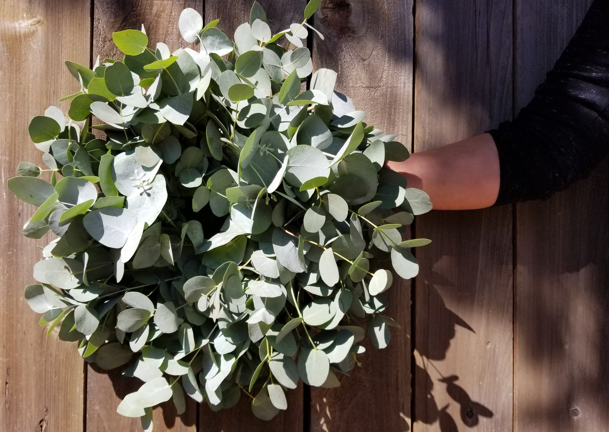 EverRing Eucalyptus Wreath