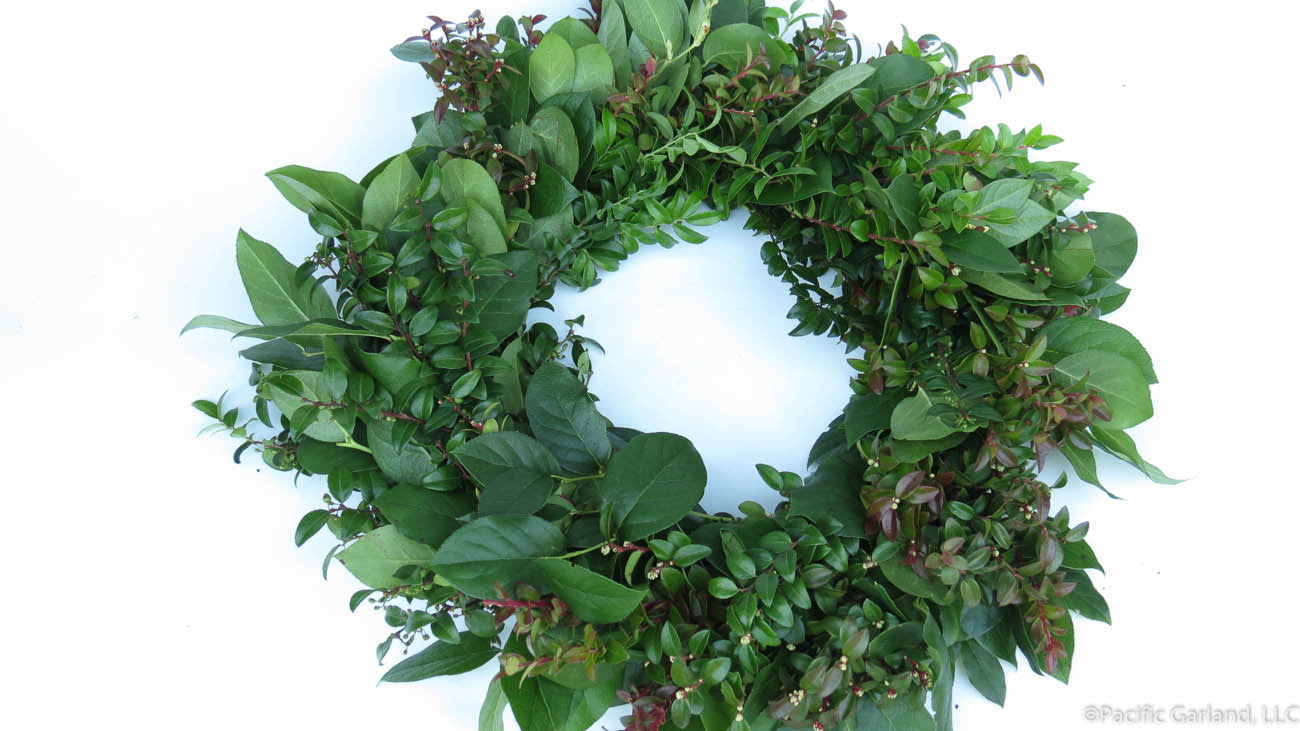 Designers Choice Fresh EverRing Wreath with Salal & Seeded Eucalyptus