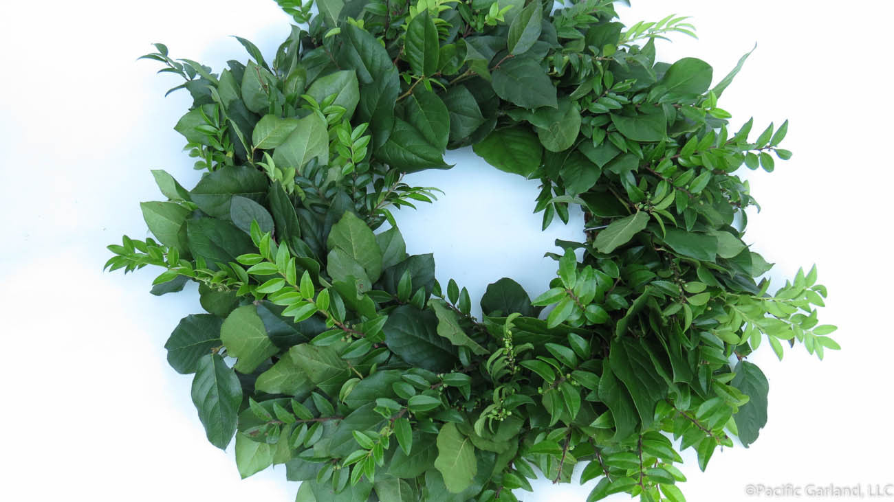 Fresh Designers Choice EverRing Wreath with Salal & Huck