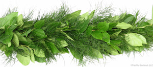 Beautiful Premium Designers Choice Two Item Garland with Salal and Tree Fern