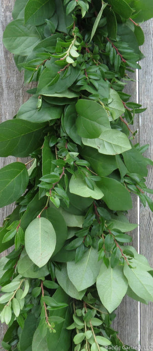 Fresh Premium Salal and Green Huck Garland Hanging on Wood Fence