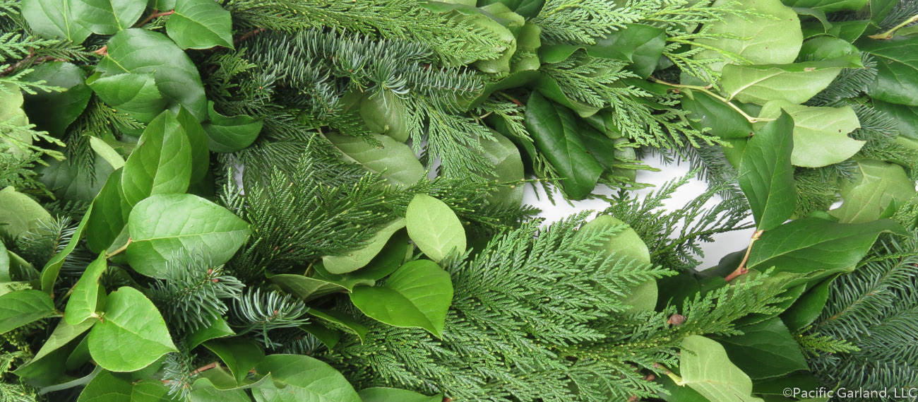 Premium Holiday specialty garland with Cedar, Evergreens & Salal