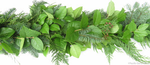 Beautiful Holiday Designers Choice garland with Salal, Port Orford Cedar & Noble Fir