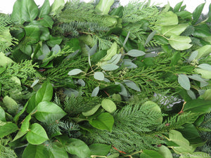 Fresh coil of Holiday garland with Cedar, Eucalyptus & Salal