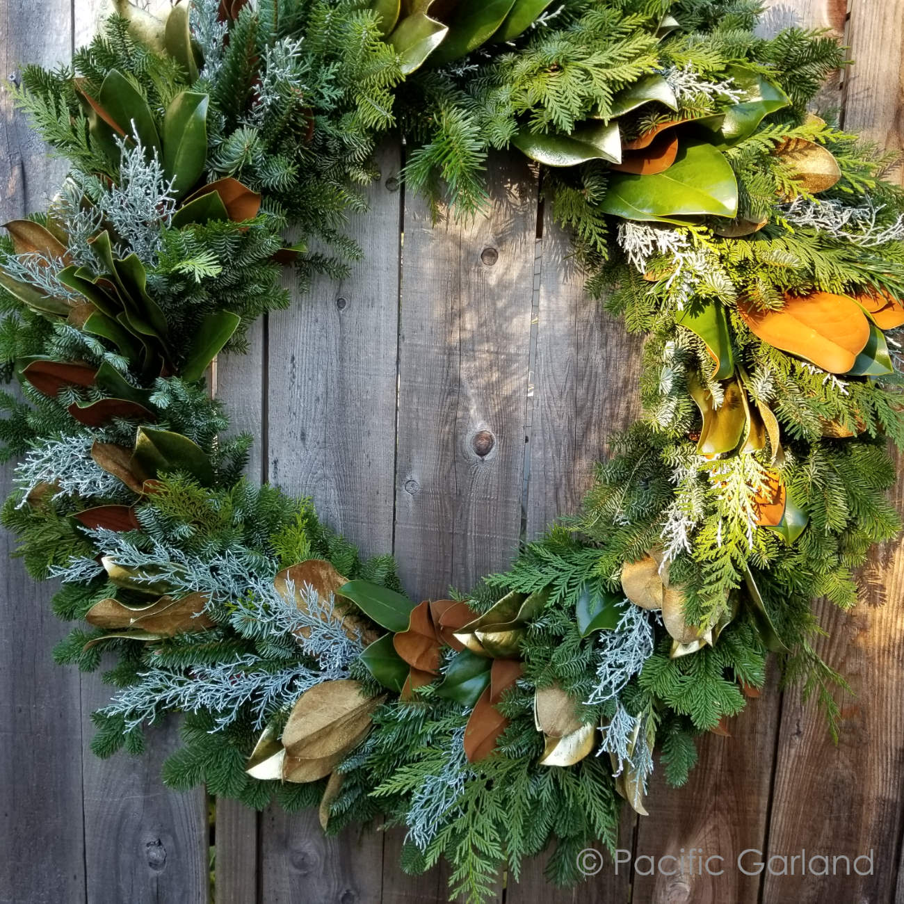 Fresh EverRing Wreath with Mixed Evergreens, Cedar, Magnolia and Carolina Sapphire