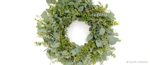 Beautiful Variegated Boxwood 'Oregonia' EverRing Wreath with Eucalyptus
