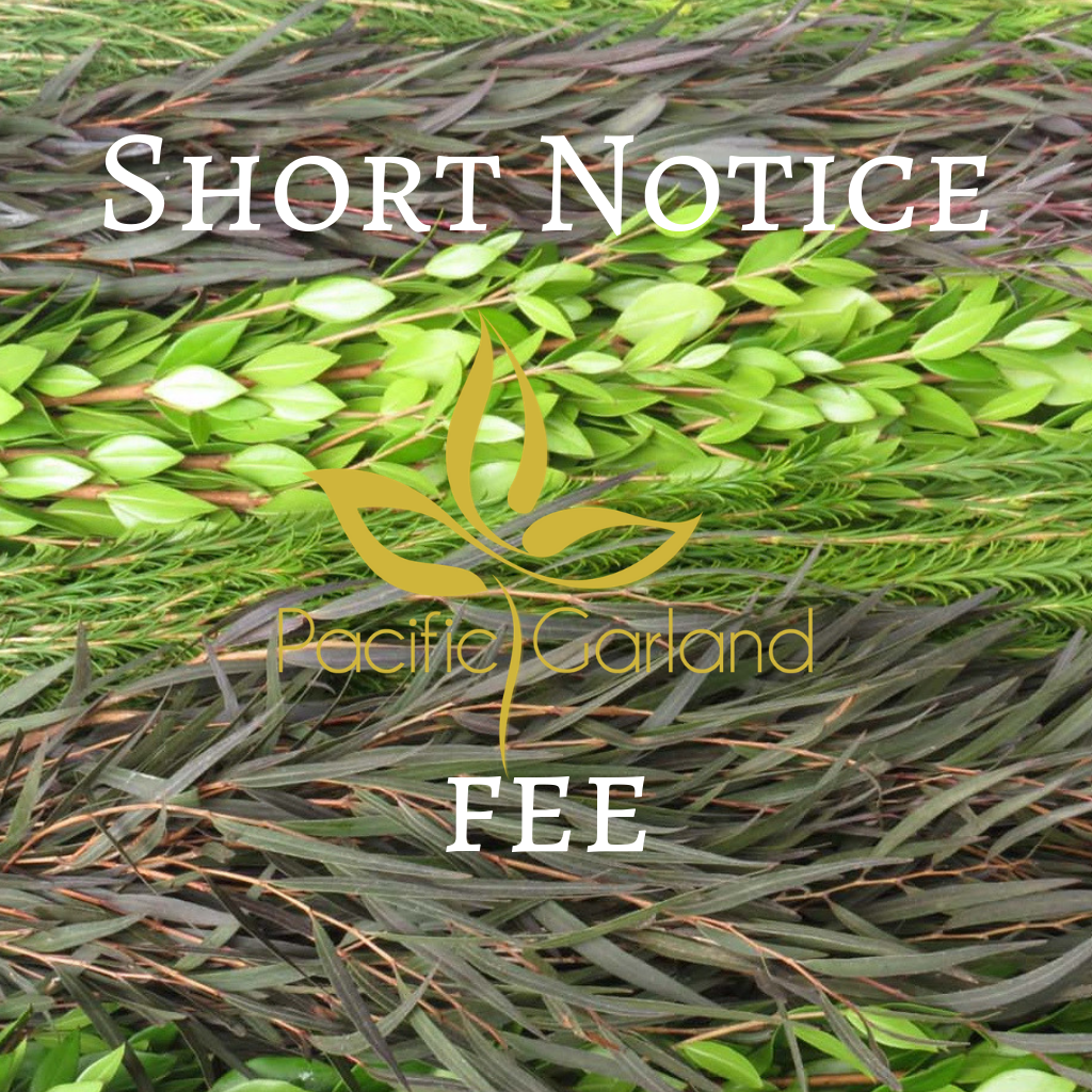 Up Charge- Short Notice