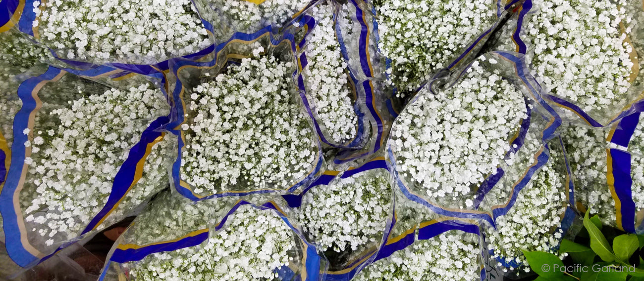 Fresh Bunches of Babys Breath