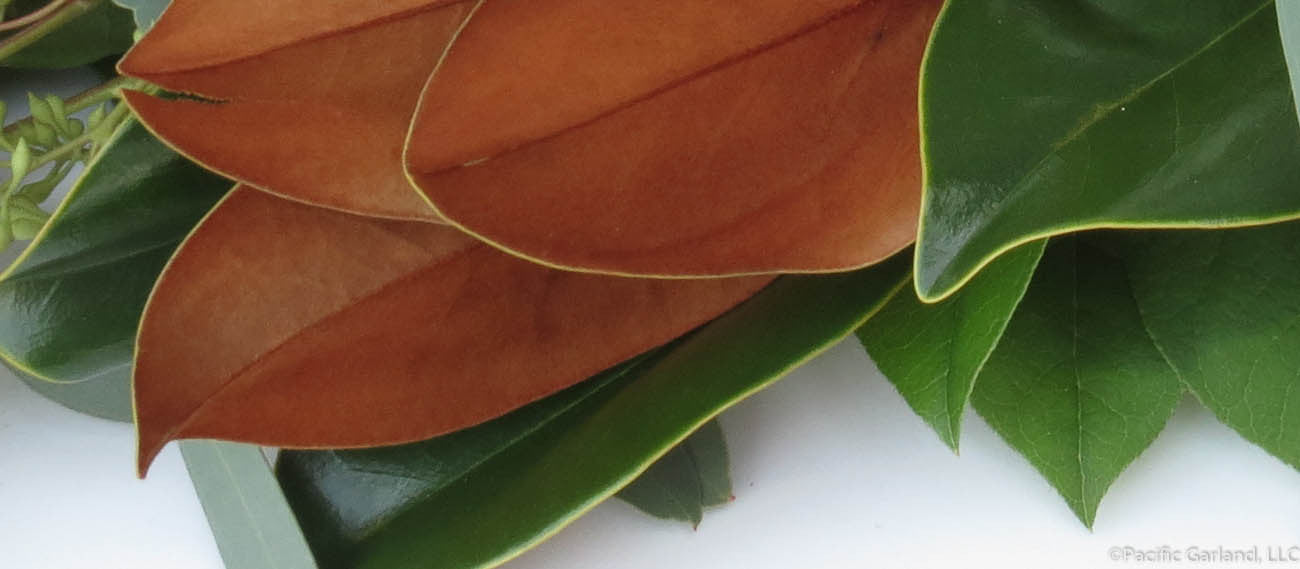 Beautiful & Elegant Natural Magnolia Garland