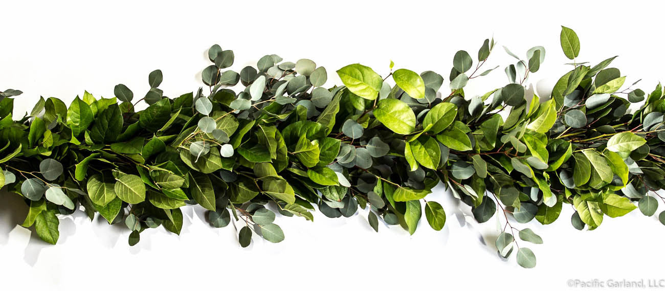 Beautiful Fresh Salal and Silver Dollar Eucalyptus Garland