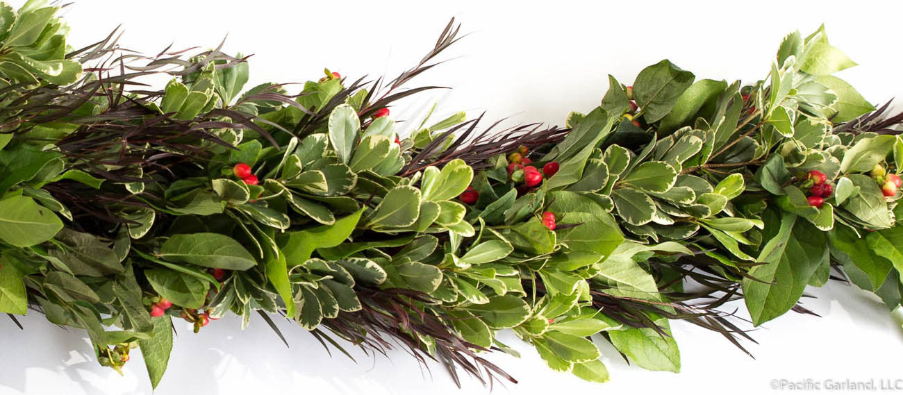 Beautiful Fresh Designers Choice Four Item Garland with Agonis, Salal, Hypericum Berries and Variegated Pittosporum