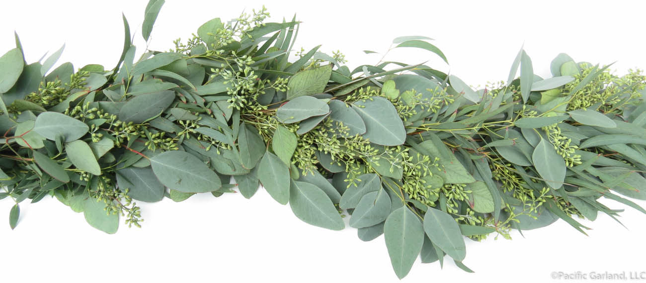 Beautiful Seeded & Silver Dollar Eucalyptus Garland