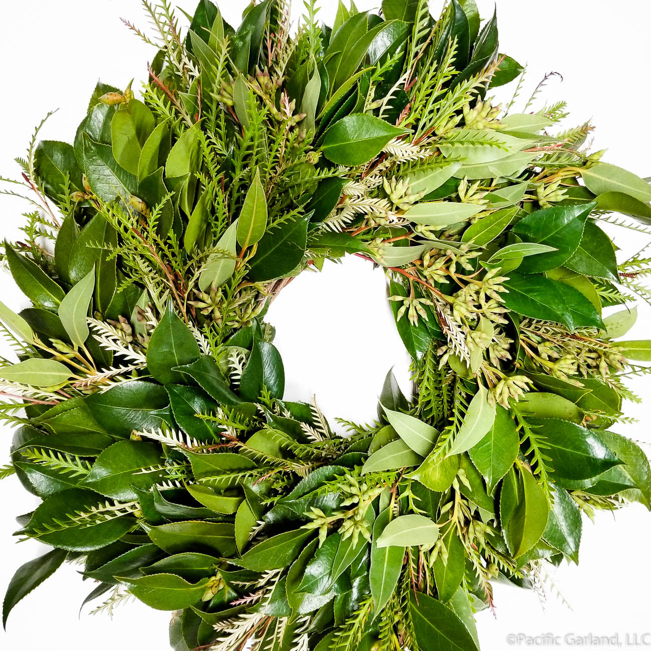 Beautiful EverRing wreath with Camellia and Grevillea Greens