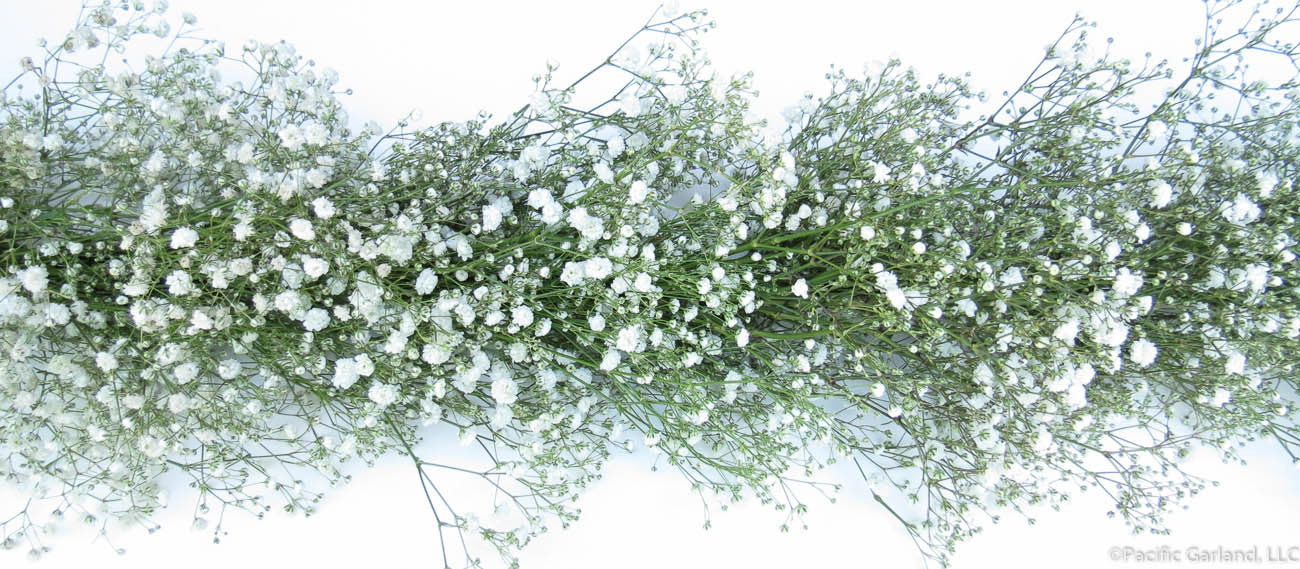 Fresh Baby's Breath Garland