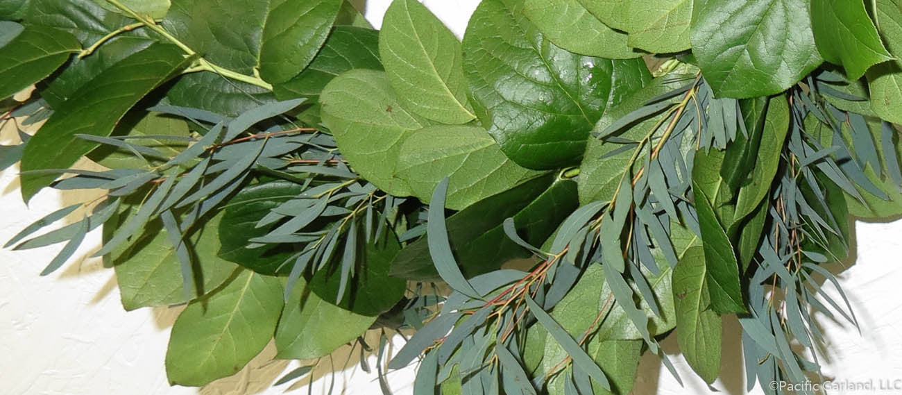 Beautiful Salal & Willow Eucalyptus Garland Close-Up