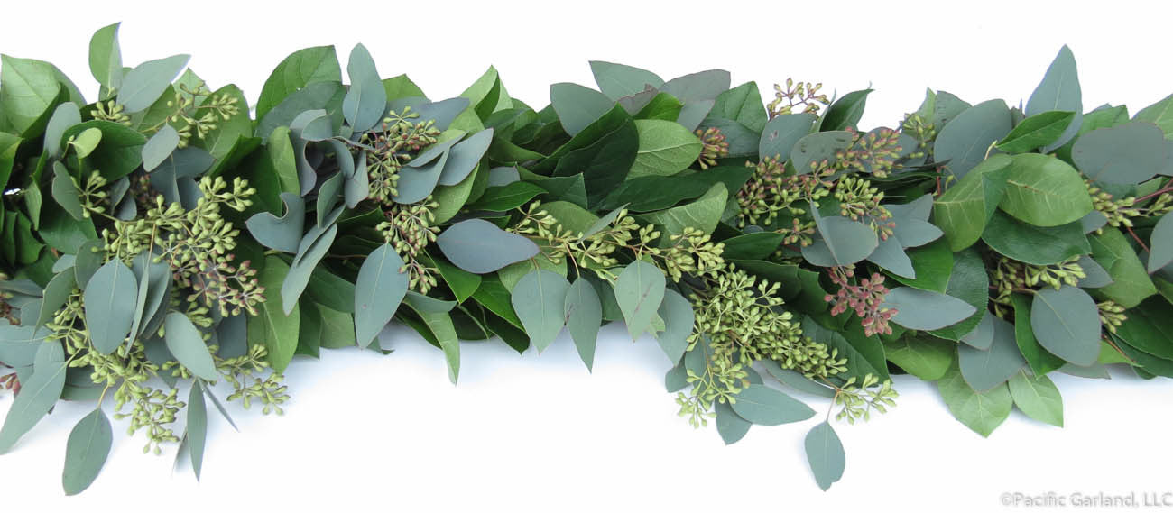 eucalyptus and succulent garland Fresh Salal & Seeded Eucalyptus Premium Garland By Pacific Garland