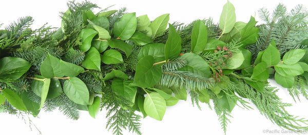 Festive & Fresh Holiday Garland Salal & Evergreens by Pacific