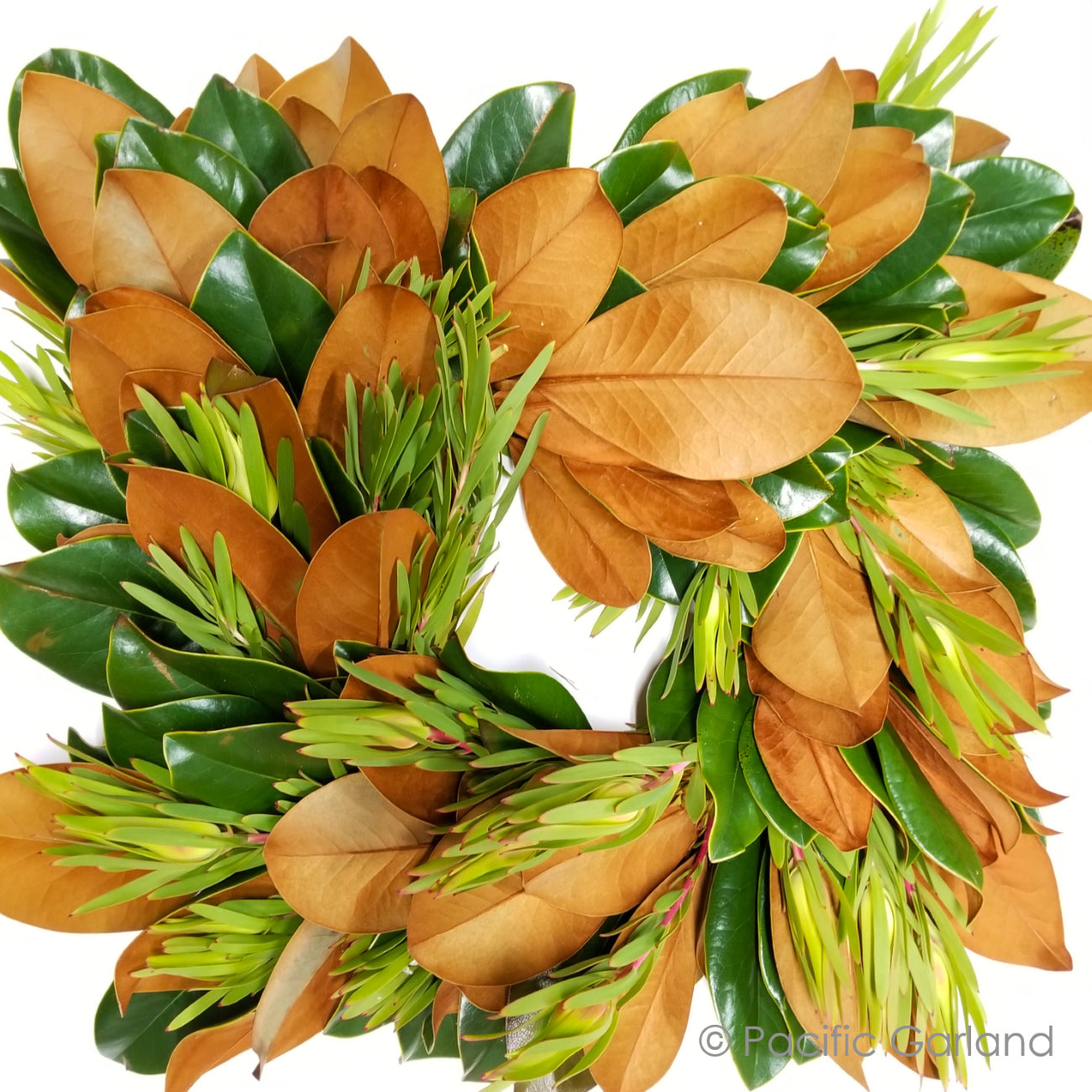Fresh Magnolia with Leucodendron Square EverRing Wreath