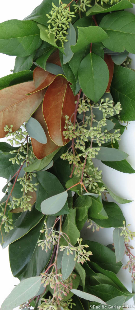 magnolia hanging plant Fresh Salal, Magnolia & Seeded Eucalyptus Premium Garland By Pacific Garland