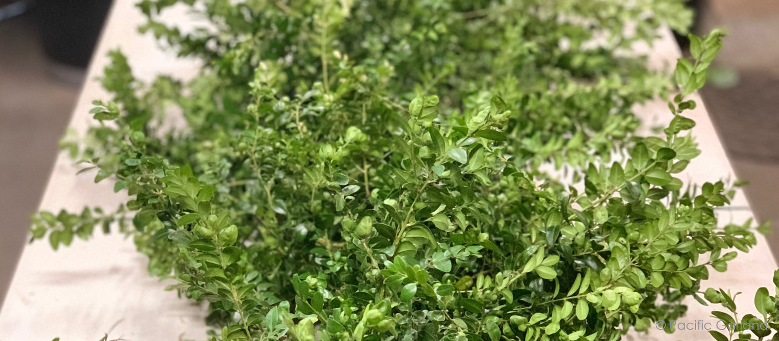 Special Extra Wide 24 to 28" Moon Gate Floral Garland