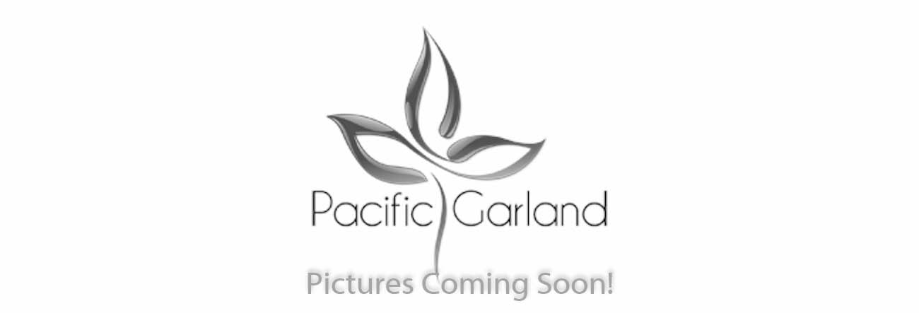 Salal Wreath Picture Coming Soon