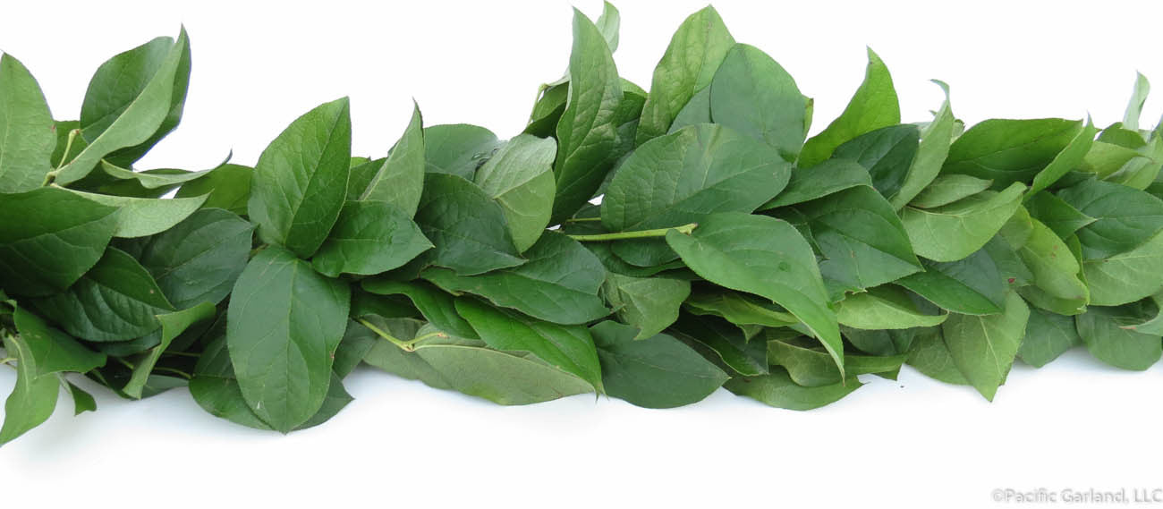 Beautiful Fresh Salal Garland