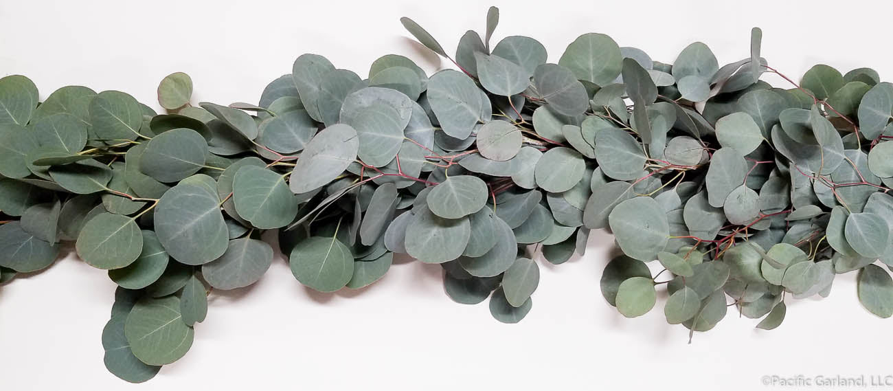 Silver Dollar, Seeded Eucalyptus, Plumosus, and Sword Fern Garland